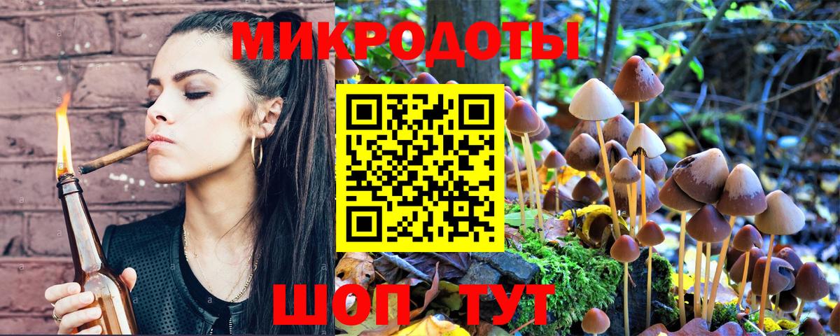 Галлюциногенные грибы Psilocybe  Вход с VPN  Магадан 